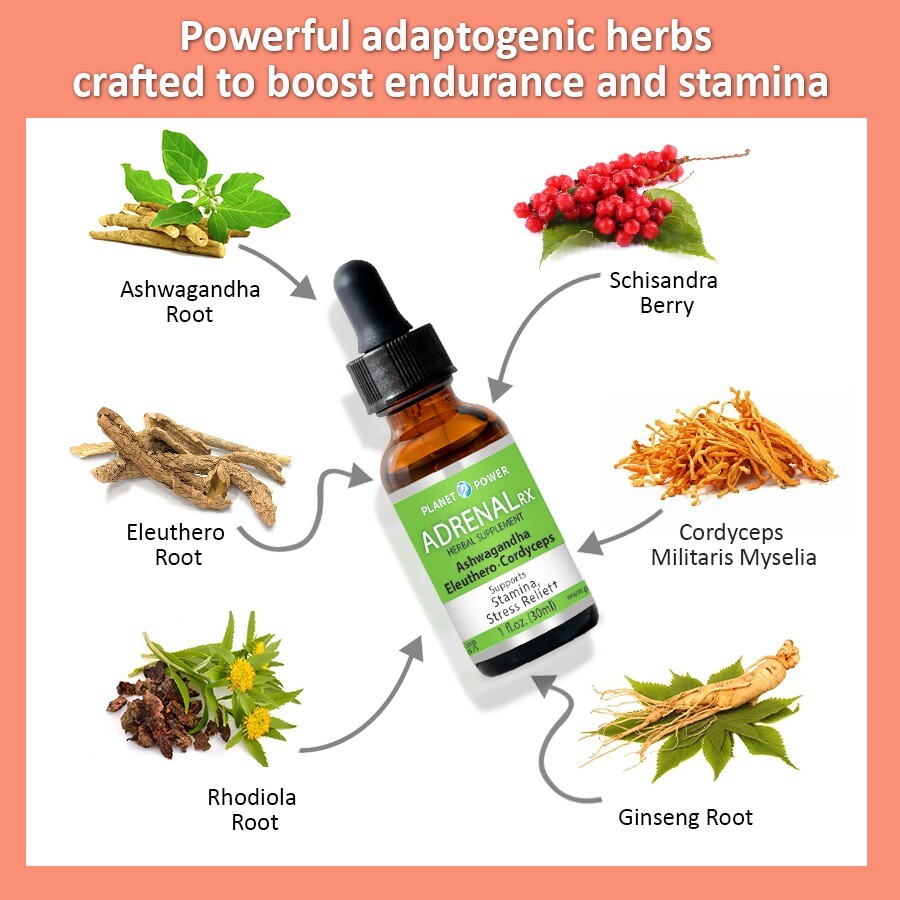 Adrenal Daily Liquid Drops. Supports Wellness & Energy. Supplement with Adaptoge