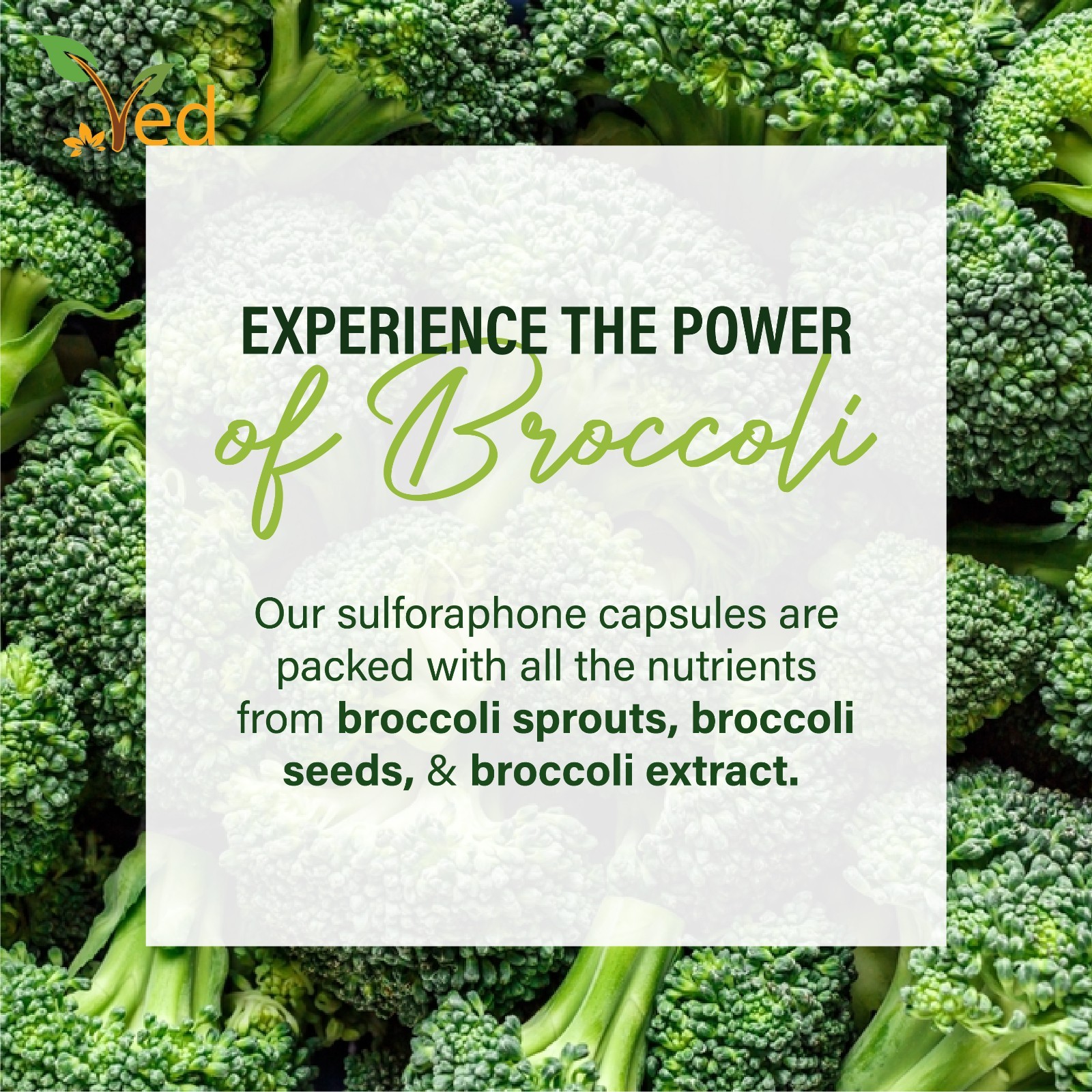 VED Broccoli-Sulforaphane, Broccoli Extract 1000 mg Sulforaphane 100 mg,2cap/Day
