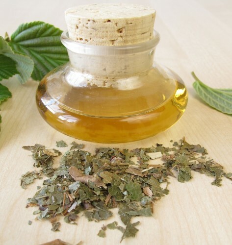 Witch Hazel Tincture 1:2 Extract | 2 to 8floz | 100% Pure Natural Hand Crafted