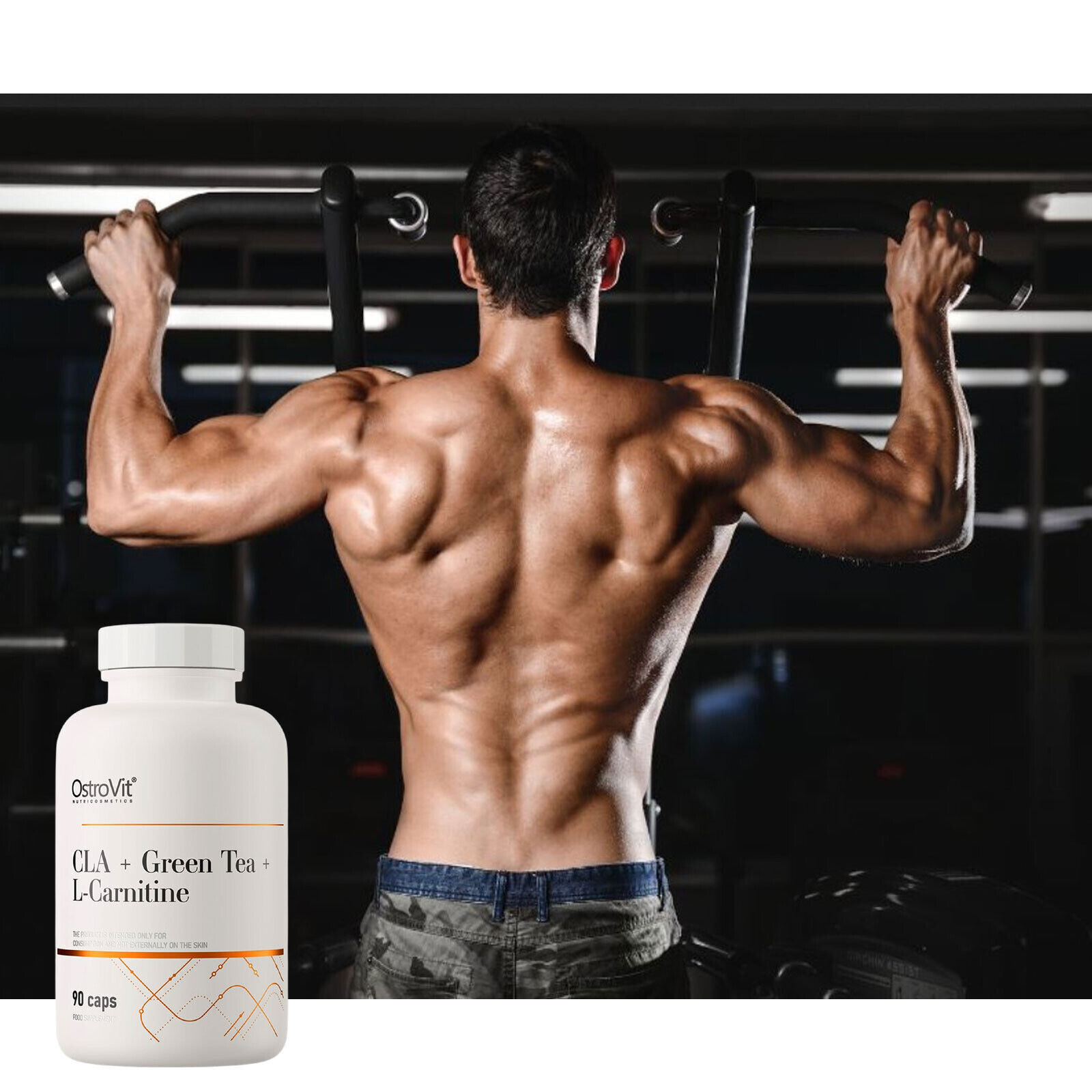 CLA + GREEN TEA + L-CARNITINE – 90 Capsules – stimulate metabolism, fat burning