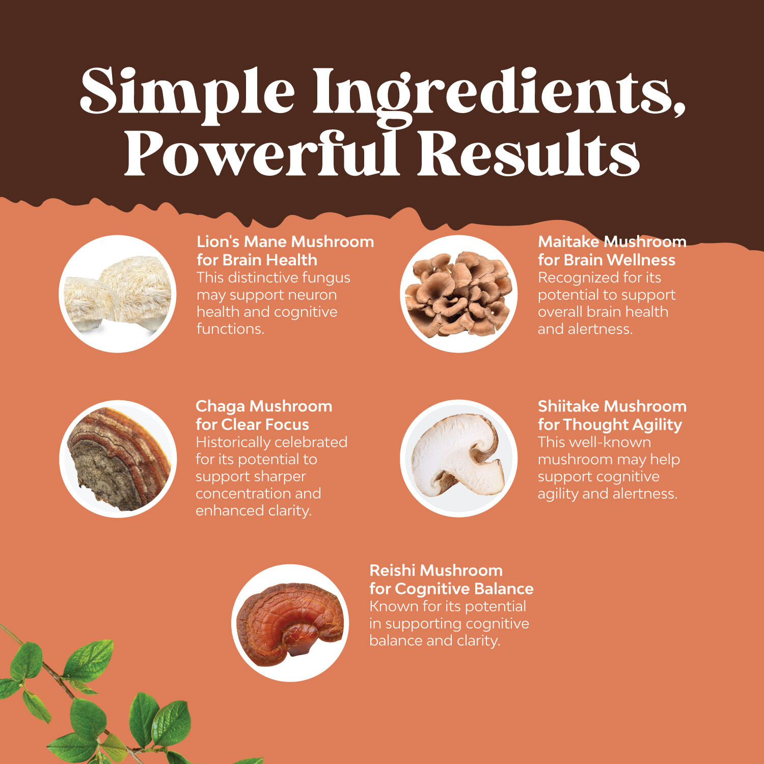 Advanced Mushroom Complex Capsules – 10X Lions Mane Supplement Capsules 30ct