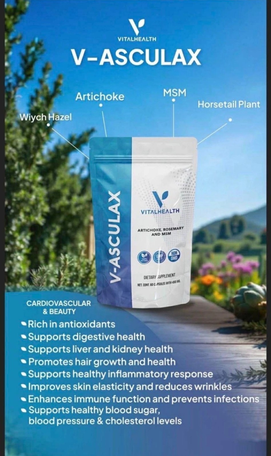 VitalHealth V-Asculax Artichoke Rosemary MSM Capsule 60 Pills
