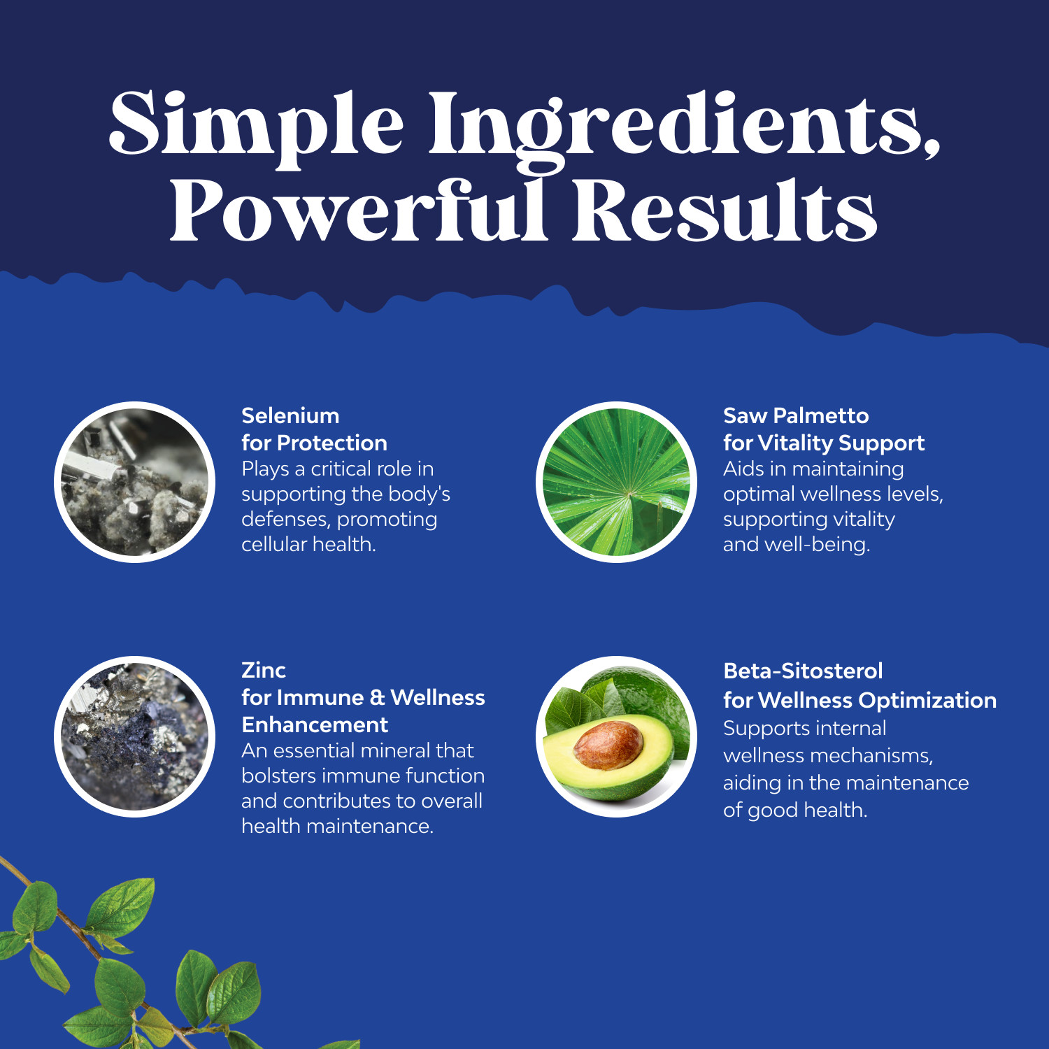 Natures Craft Saw Palmetto for Men with Beta Sitosterol – Prostate Health