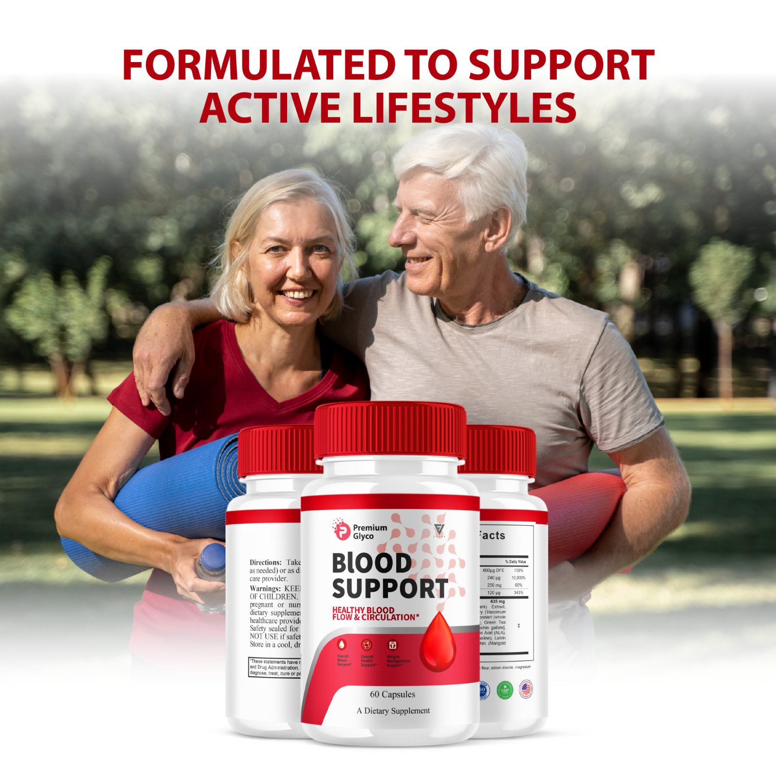 (2 Pack) Premium Glyco Blood Support Supplement, PremiumGlyco (120 Capsules)