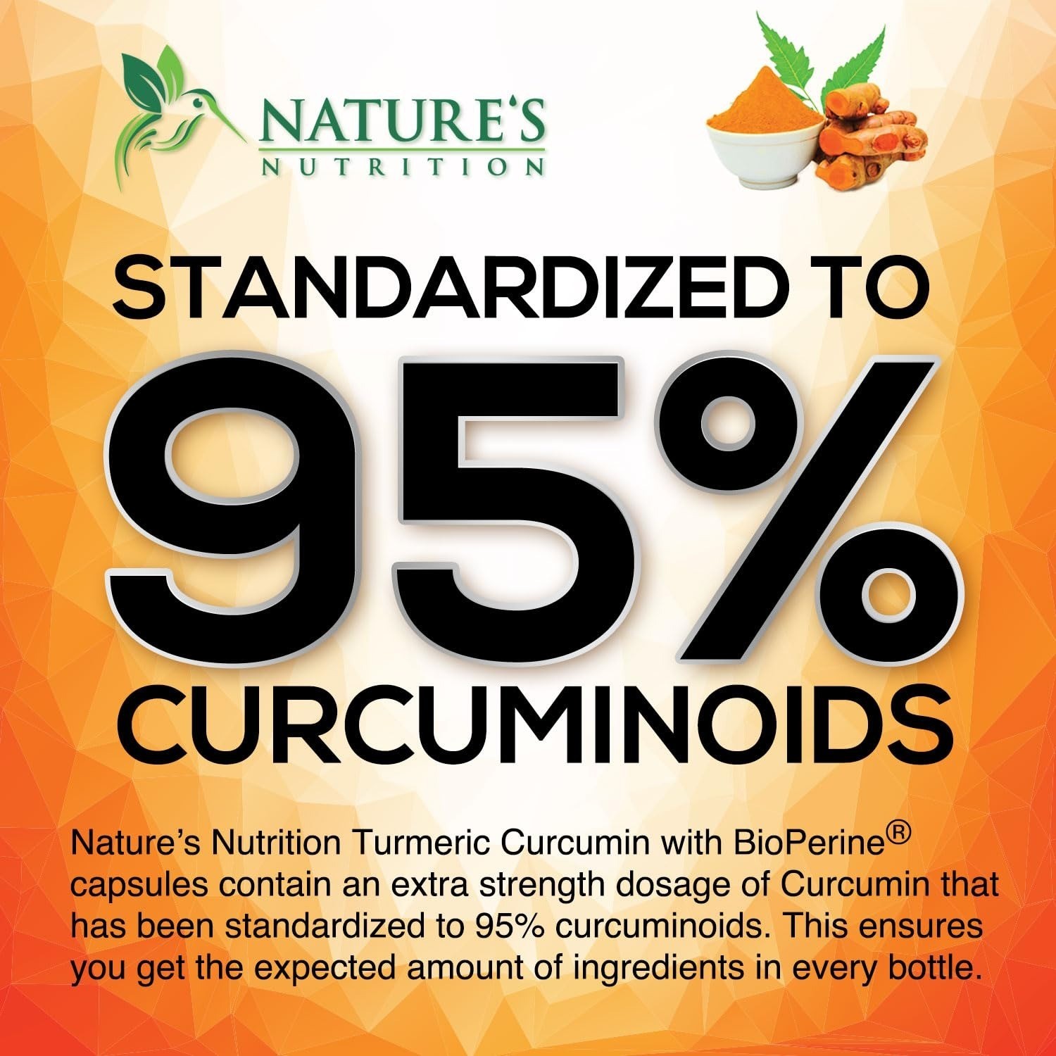 Turmeric Curcumin Supplement – 95% Curcuminoids – 120 Capsules