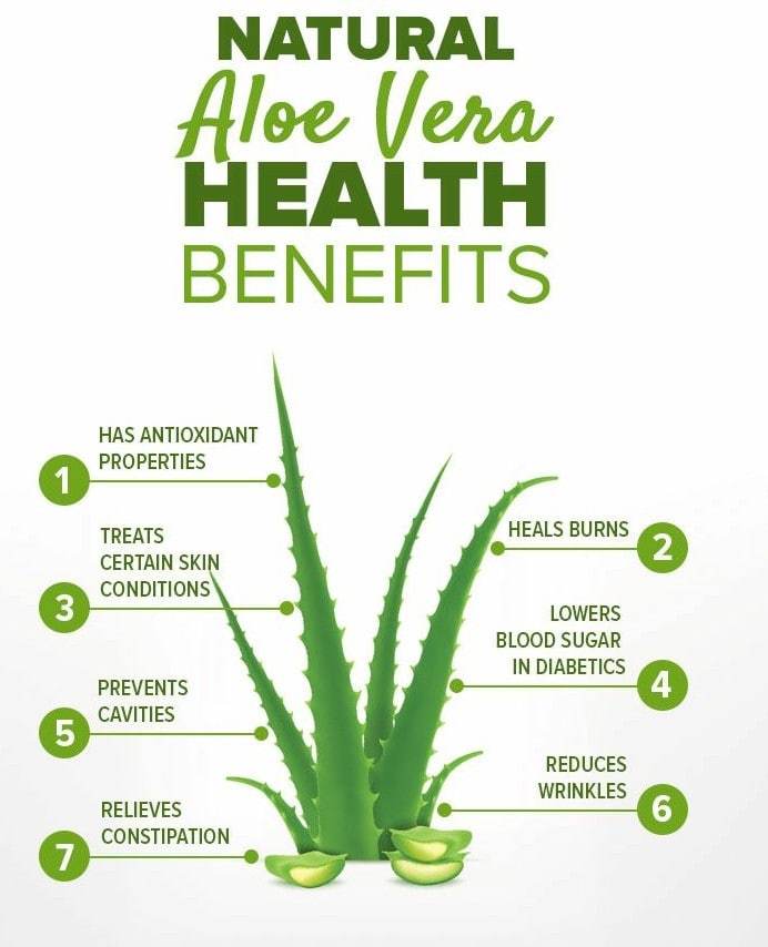 Aloe Vera Whole Leaf Gel | 1floz to 32floz | 100% Pure Natural Cold-Pressed