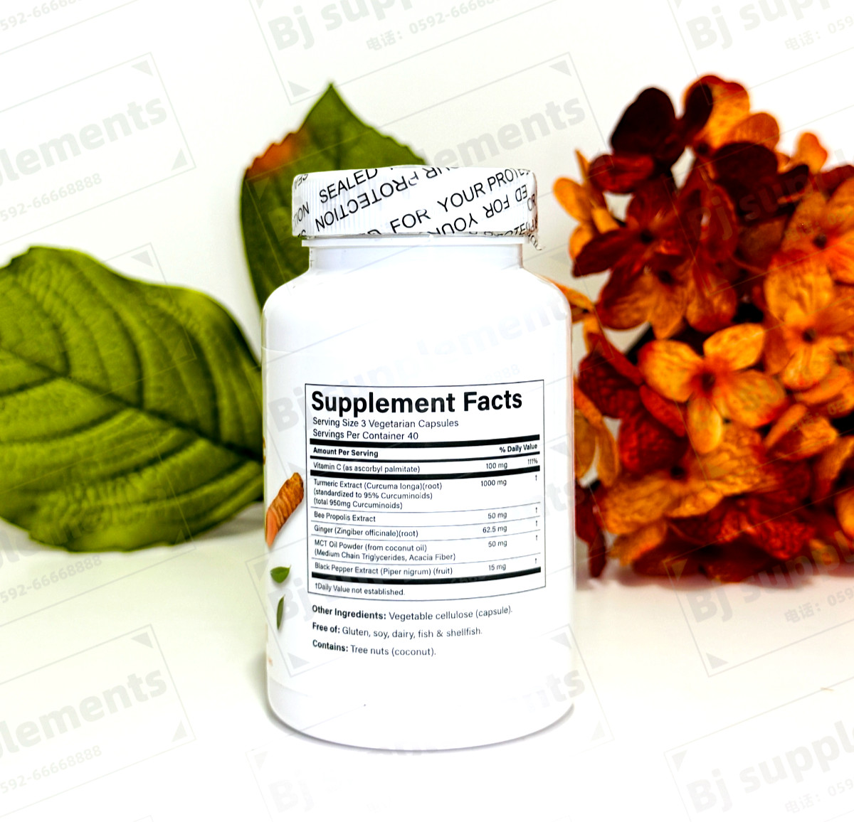 – Turmeric Curcumin|95% Curcuminoids w/ Black Pepper 120capsules