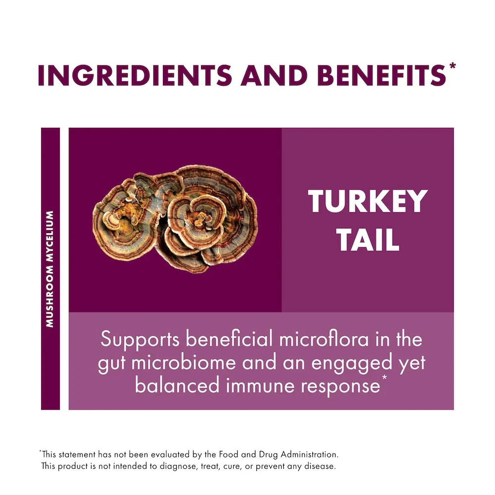 Host Defense Turkey Tail Extract 1 Oz Organic Immune Support Fungi Perfecti