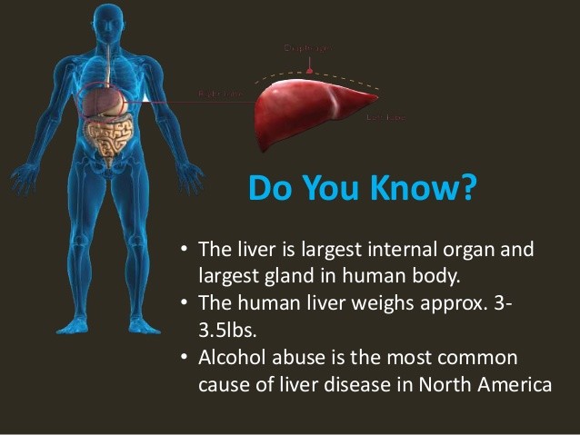 cleanse detox – LIVER DETOXIFIER FORMULA – immune health – 3 Bottles