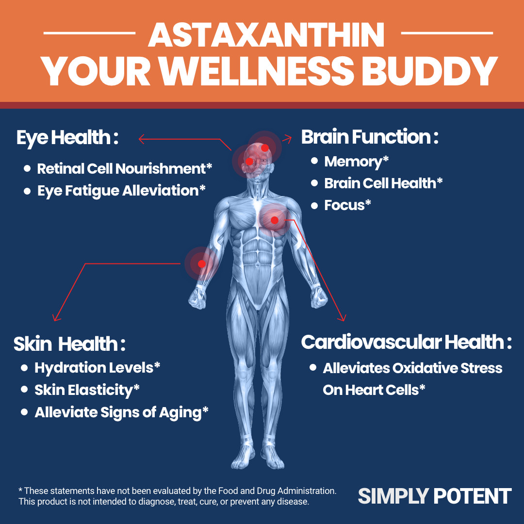 Astaxanthin 10mg 120 Softgels-High Potency Antioxidant Supplement | 4-Mon Supply