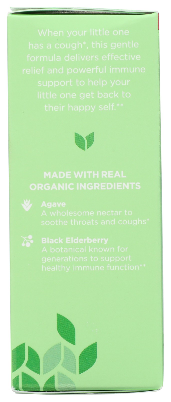 Hyland’S Baby Organic Cough & Immune Daytime Supplement 2 Fl Oz 3 Pack