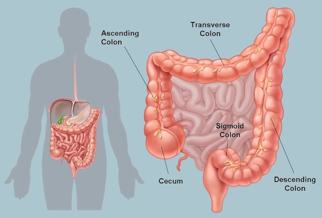 cleanse detox – COLON CLEANSE COMPLEX – super colon cleanse – 3 Bot 270 Capsules