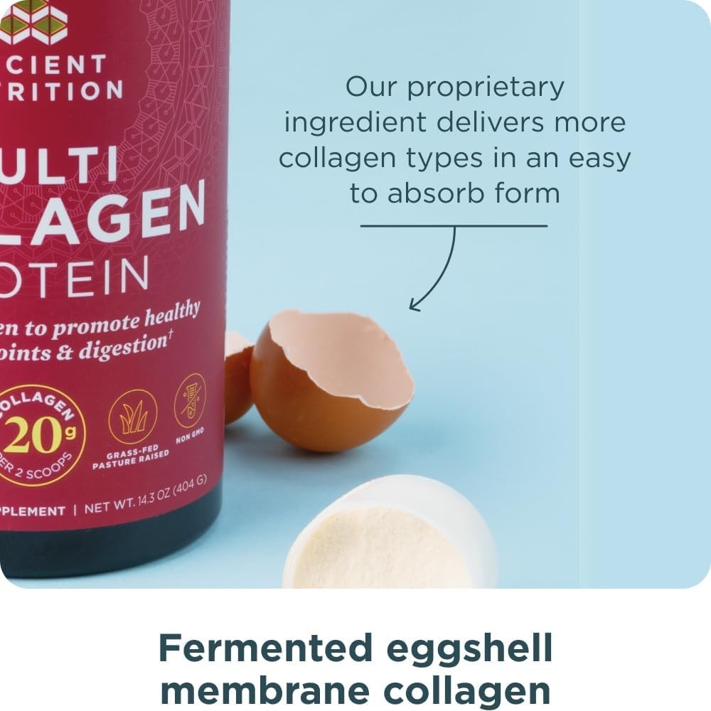 Ancient Nutrition Multi Collagen Protein Powder Pure 454.5 g (1 lb / 16 oz)
