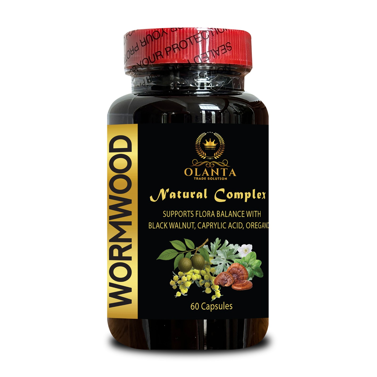 Botanical Digestive Support Capsules with Wormwood, Reishi & Arabinogalactan 1B