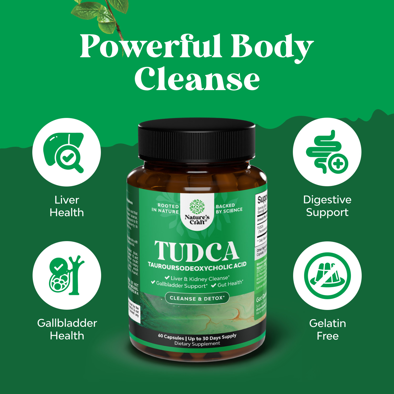 Advanced TUDCA Liver Support Supplement – Extra Strength TUDCA 500mg Bile Salts