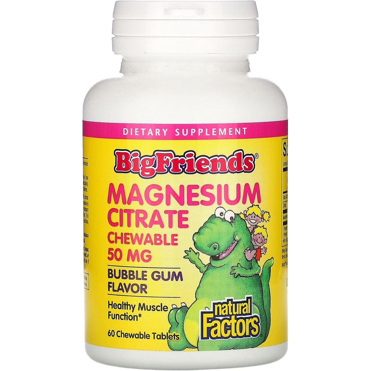 Natural Factors BigFriends Magnesium Citrate 50mg,Bubble Gum,60 Chewable Tabs