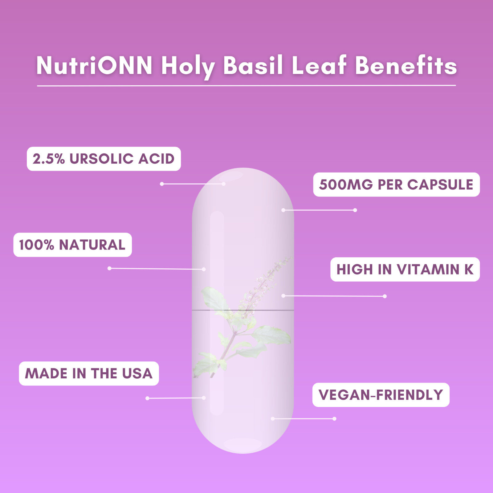 Holy Basil Leaf Extract – 500mg – 2.5% Ursolic Acid – 120 Vegan Capsules