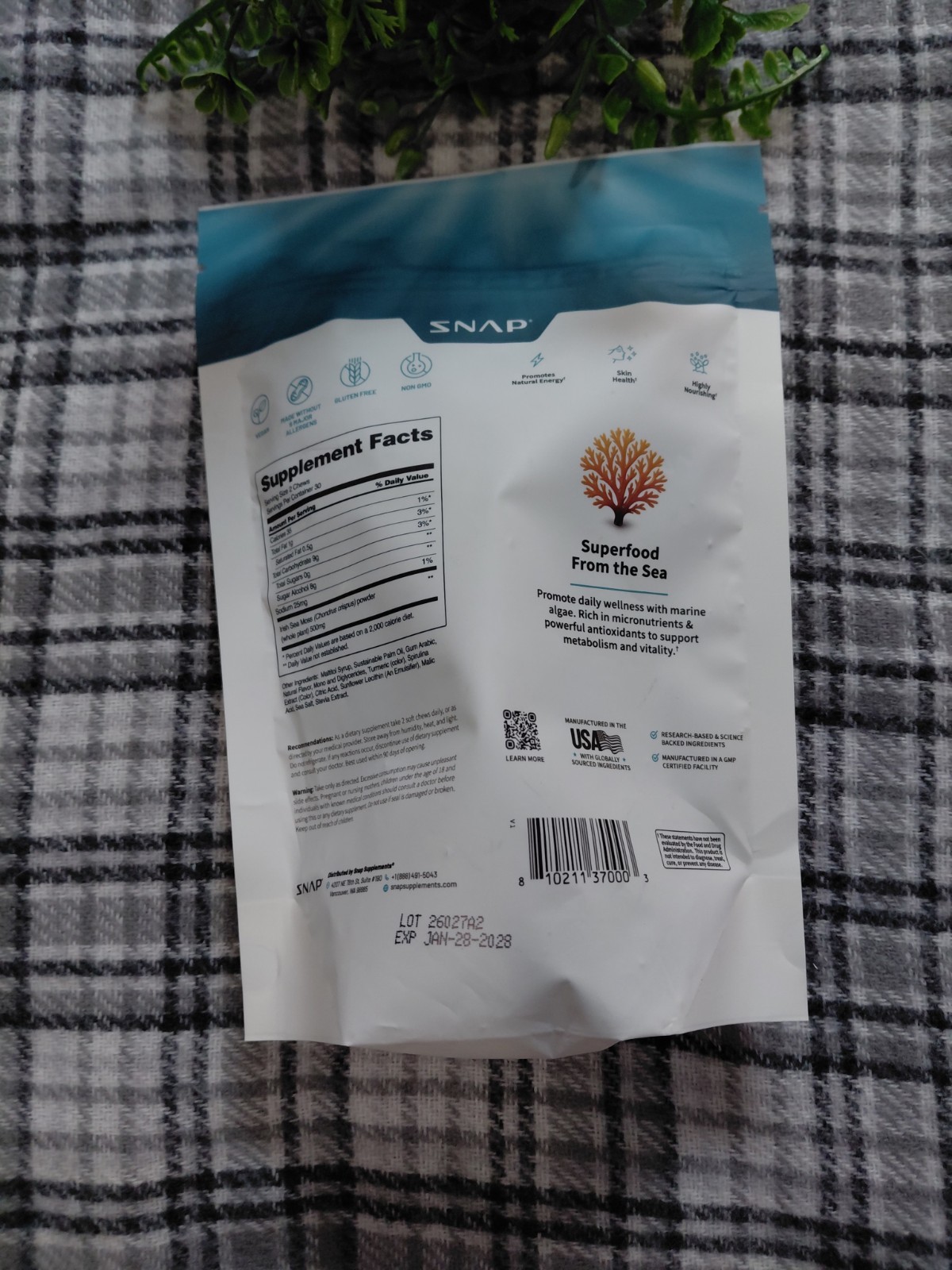 SNAP Irish Sea Moss Soft Chews Skin Health Green Apple Sugar-Free 60 Ct