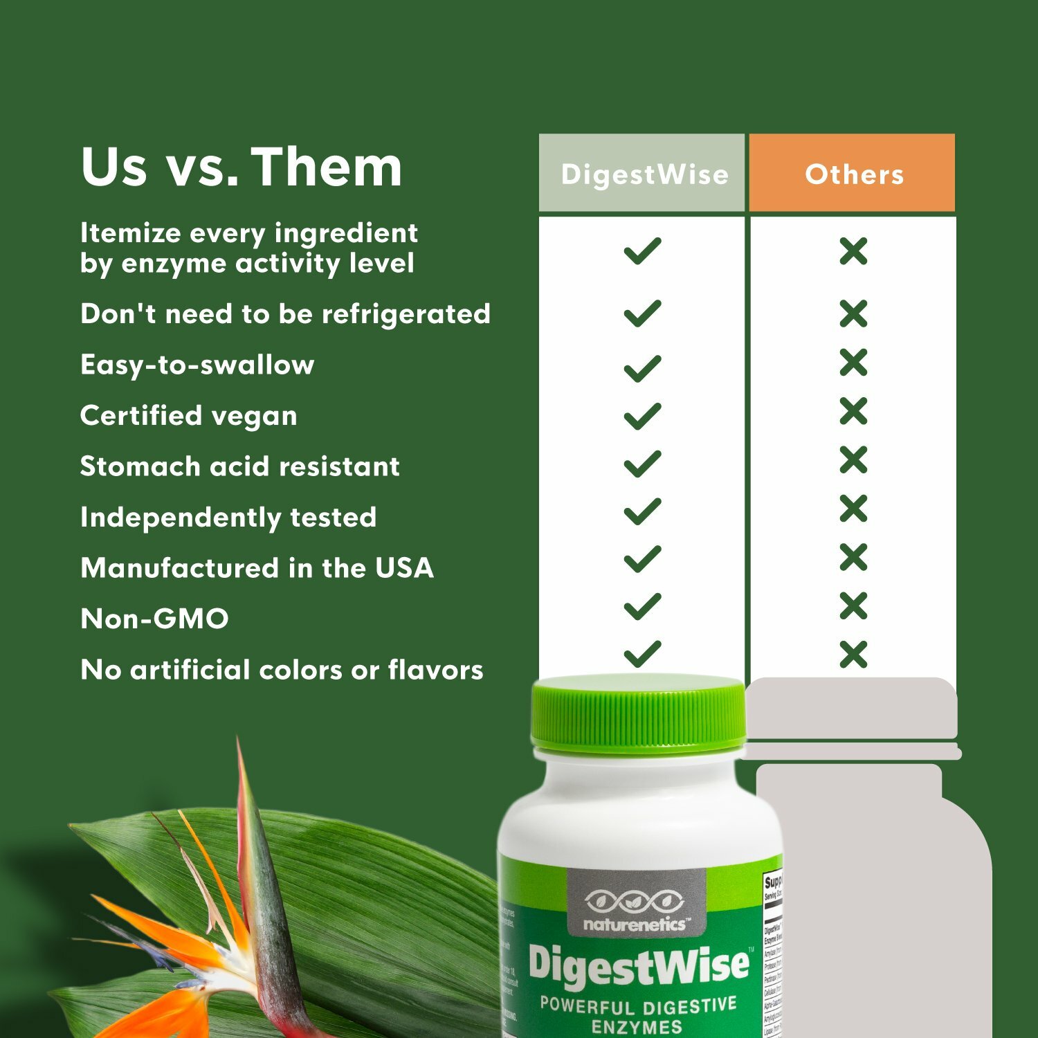 Naturenetics DigestWise – Powerful Digestive Enzymes Proteolytic Vegan – Tested