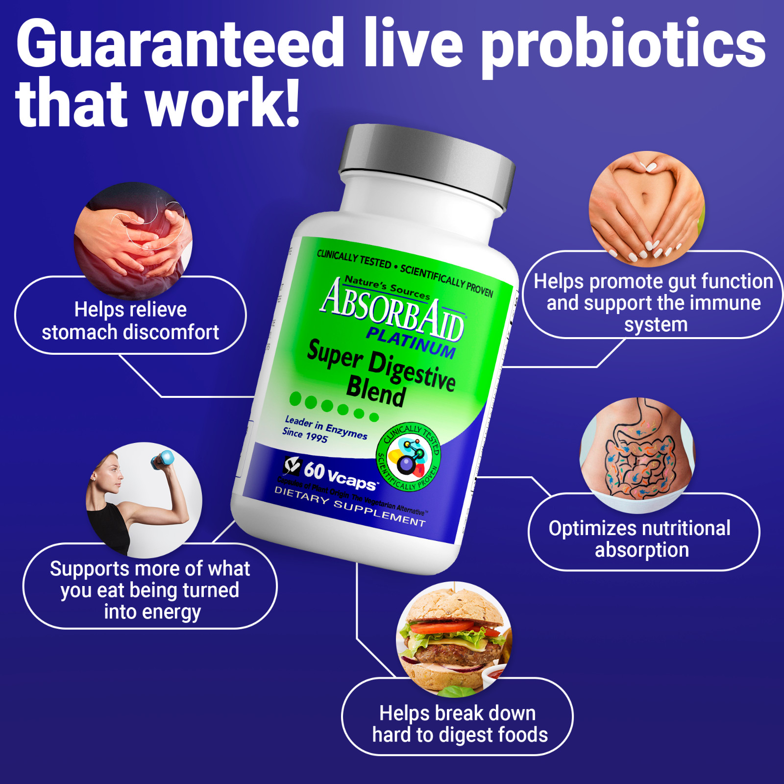 AbsorbAid PLATINUM 60 Digestive Enzymes & Probiotics – 60 Vegetarian Capsules