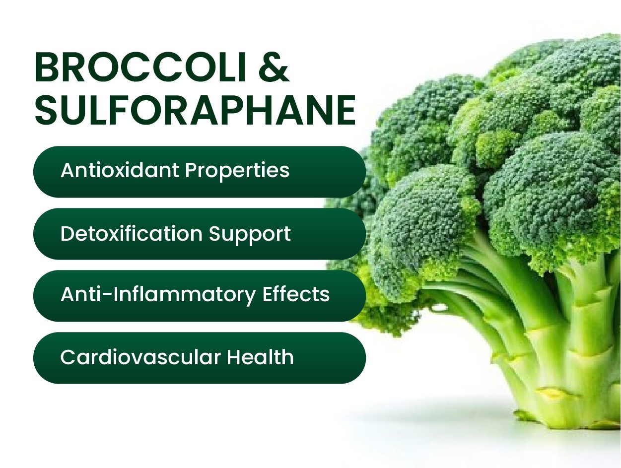 VED Broccoli-Sulforaphane, Broccoli Extract 1000 mg Sulforaphane 100 mg,2cap/Day
