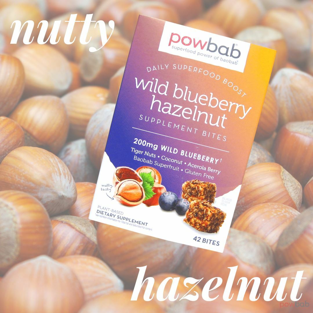 powbab Wild Blueberry Hazelnut Bites – Low Sugar with Organic Ingredients