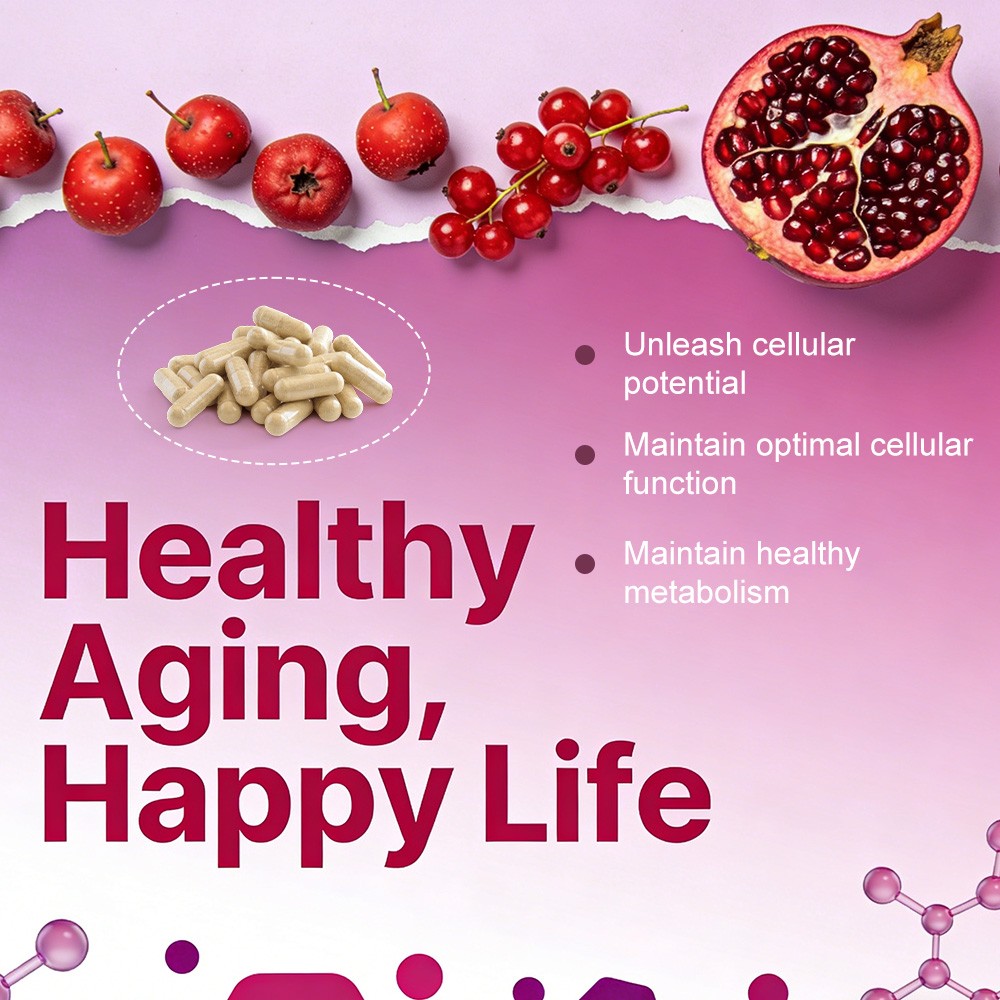 24in1 Resveratrol Formula-1000mg Per Serving for Longevity&Vitality 30~120 Caps