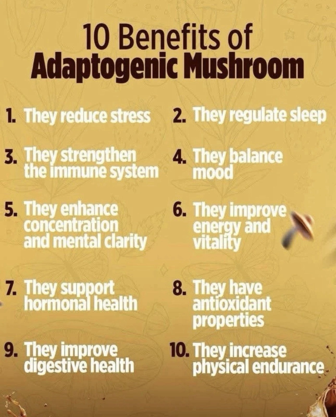 Vital health LatteKafe Coffee 5 sachets infused with 10 Adaptogenenic mushrooms