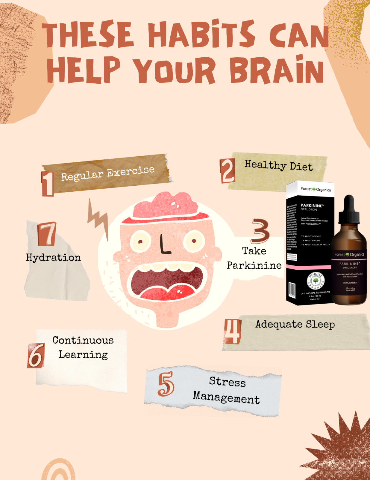 Optimize Brain Power, Improve Focus, Memory &Mental Agility, Bacopa Monnieri&B12