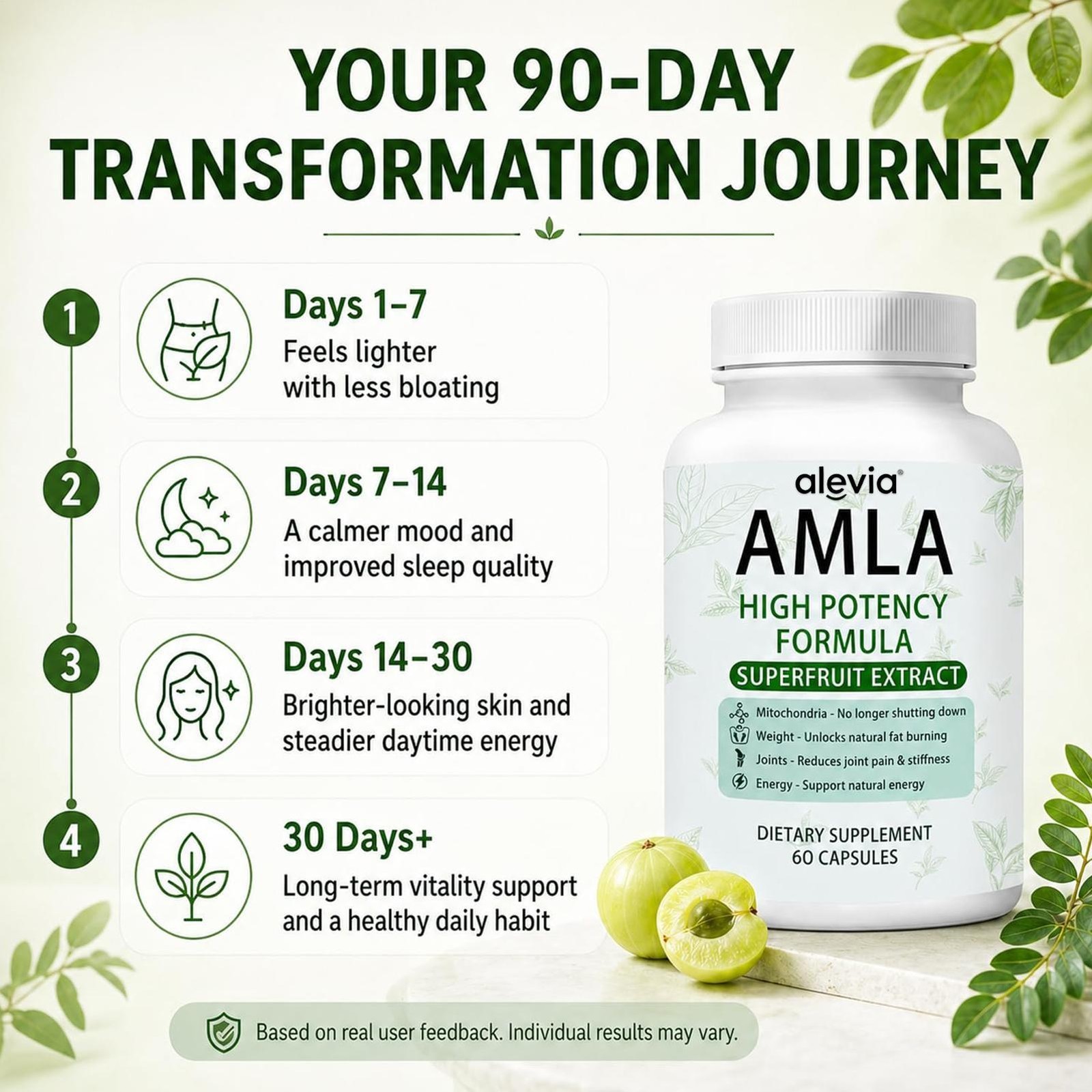 Alevia Organic Amla Capsules 1000mg Indian Gooseberry Antioxidant Supple 60c