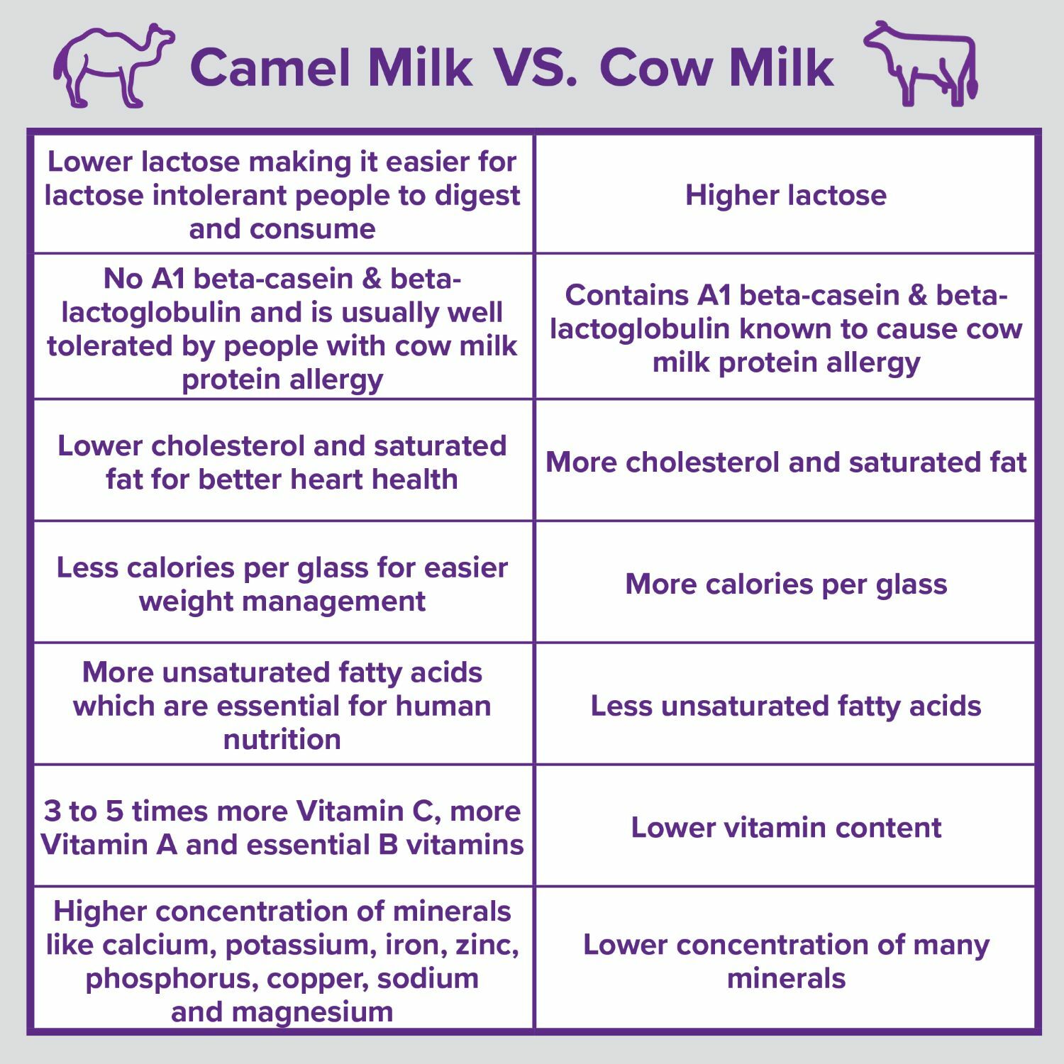 Camel Milk Powder Camelicious 1 Box 100% Natural – 24 sachets x 20g (480g) HALAL