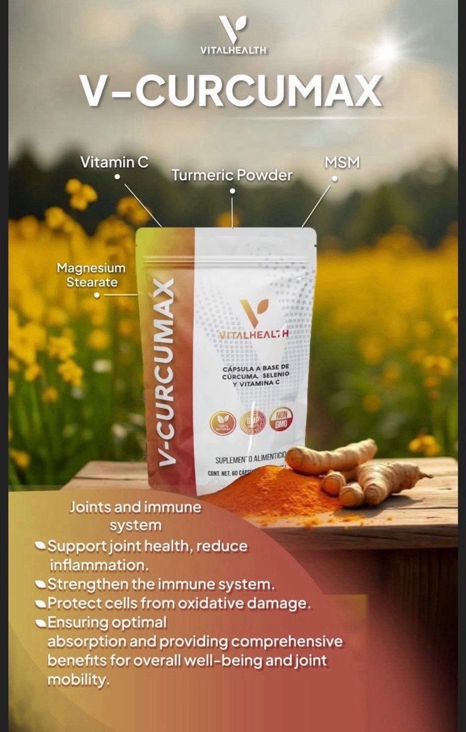 VitalHealth Vitalage Collagen Powder Bioactive Bovine & Marine Collagen