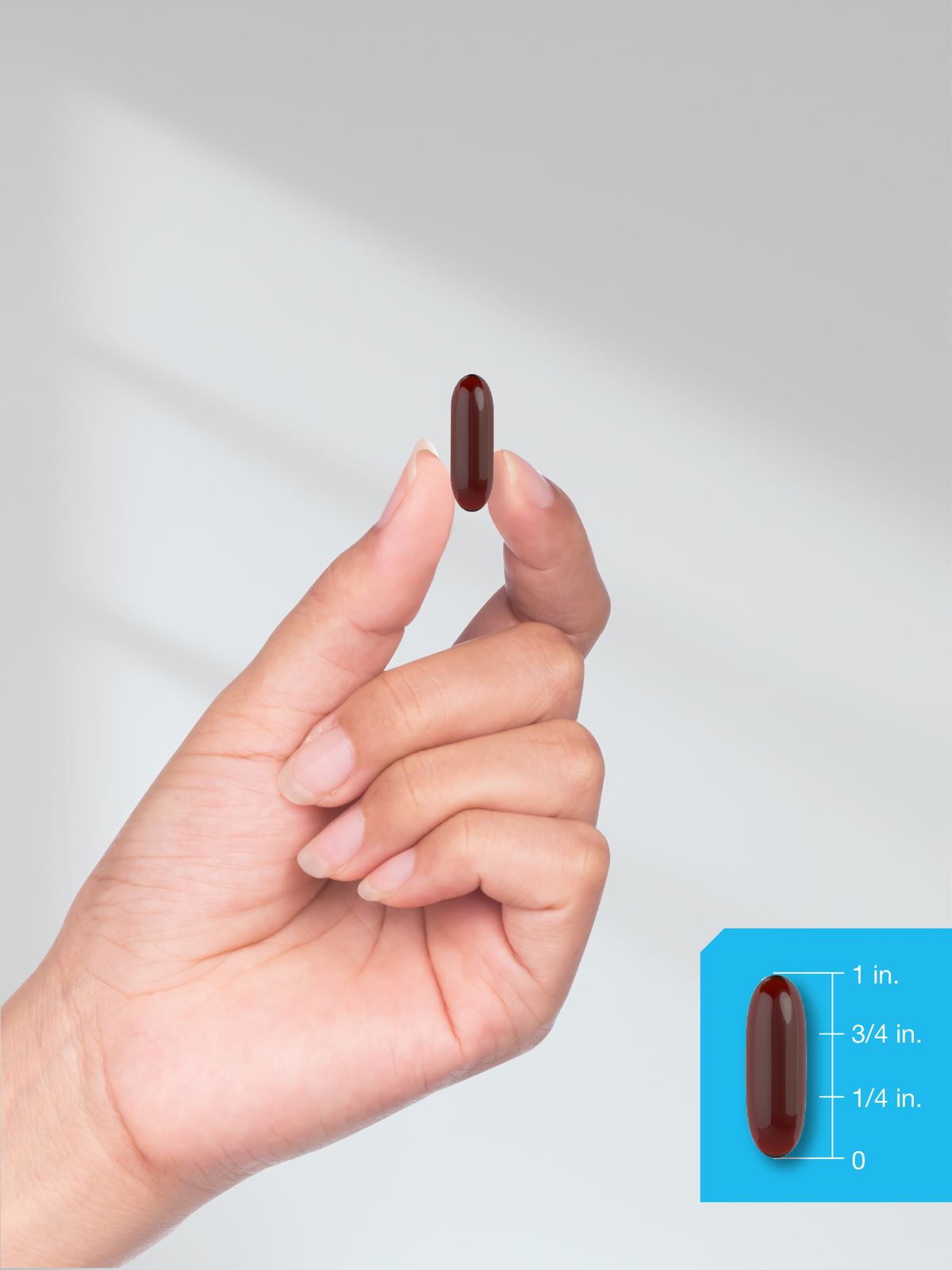 Horbaach Krill Oil 2000mg | 60 Softgel Capsules | Omega 3, EPA, DHA, Astaxanthin