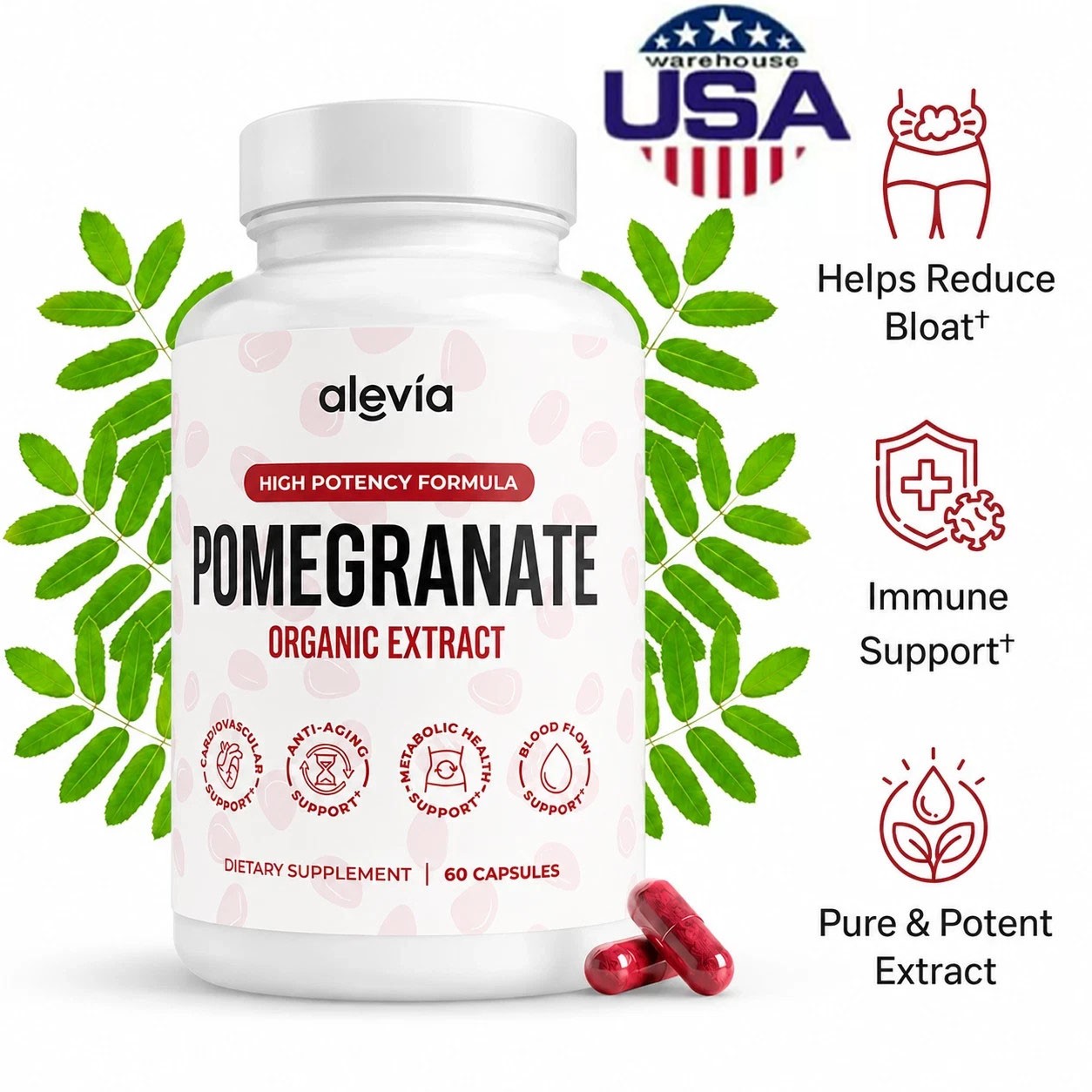 Alevia Pomegranate Caps Antioxidant Fruit Dietary Supplement 60-Count