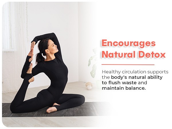 CIRCULATION SUPPORT – Vein & Blood Flow Support Supplement