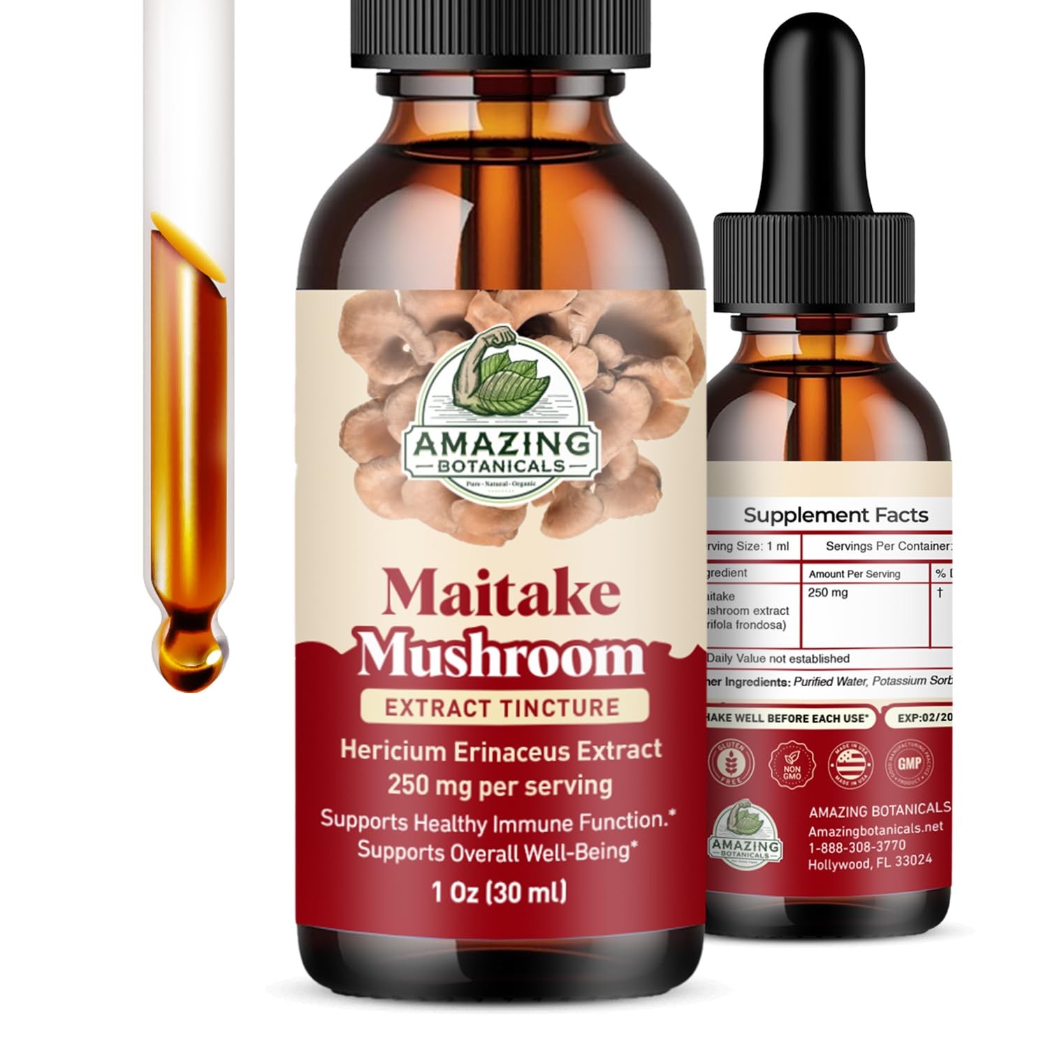 Amazing Botanicals Maitake Mushroom Extract – Liquid 1 Fl Oz (Pack of 1)