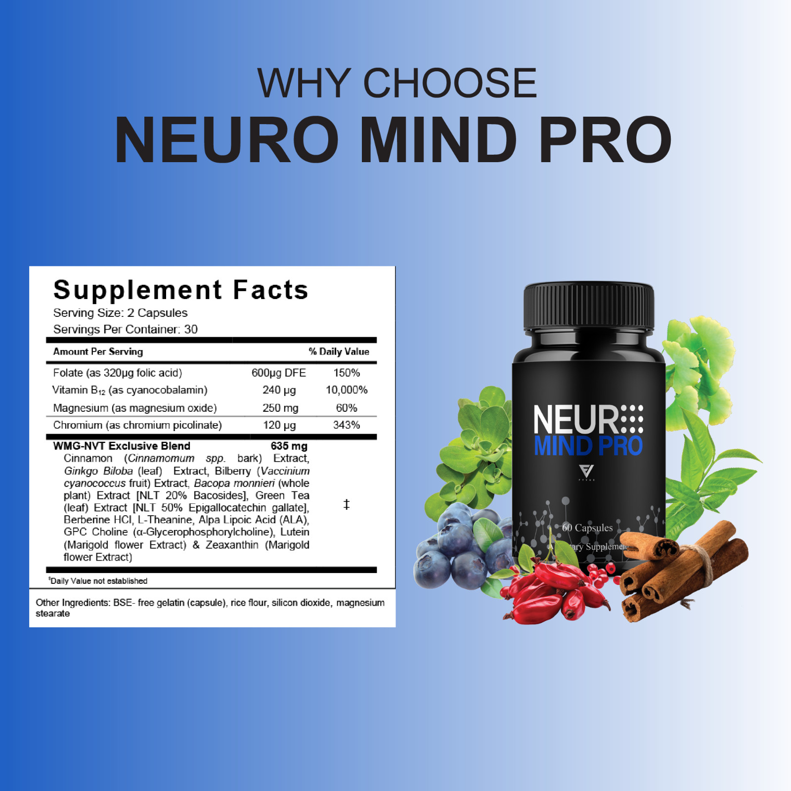 (5 Pack) Neuro Mind Pro Pills, NeuroMindPro Brain Health Formula (300 Capsules)