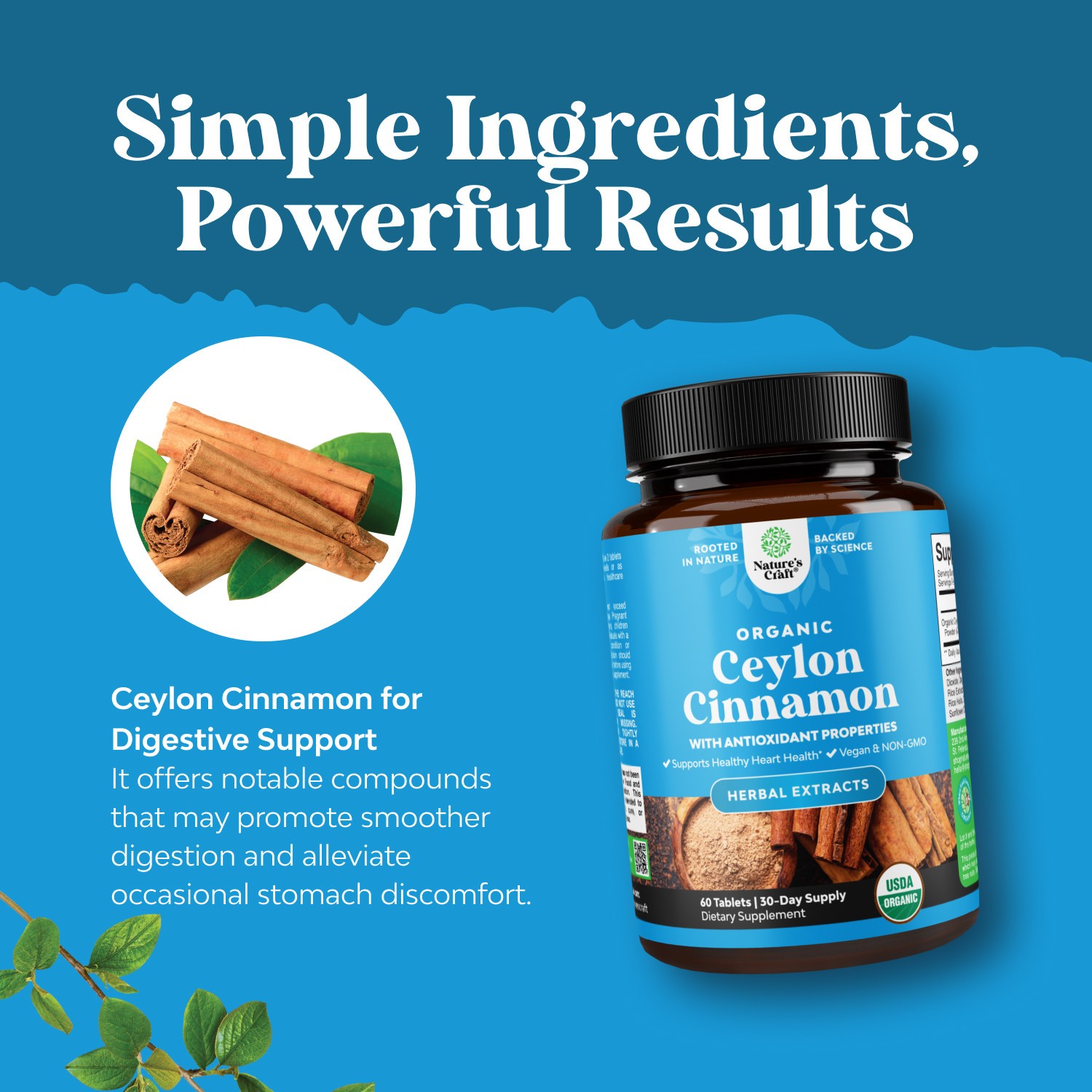 Organic Ceylon Cinnamon Tablets 1000mg Per Serving Memory Supplement Non GMO