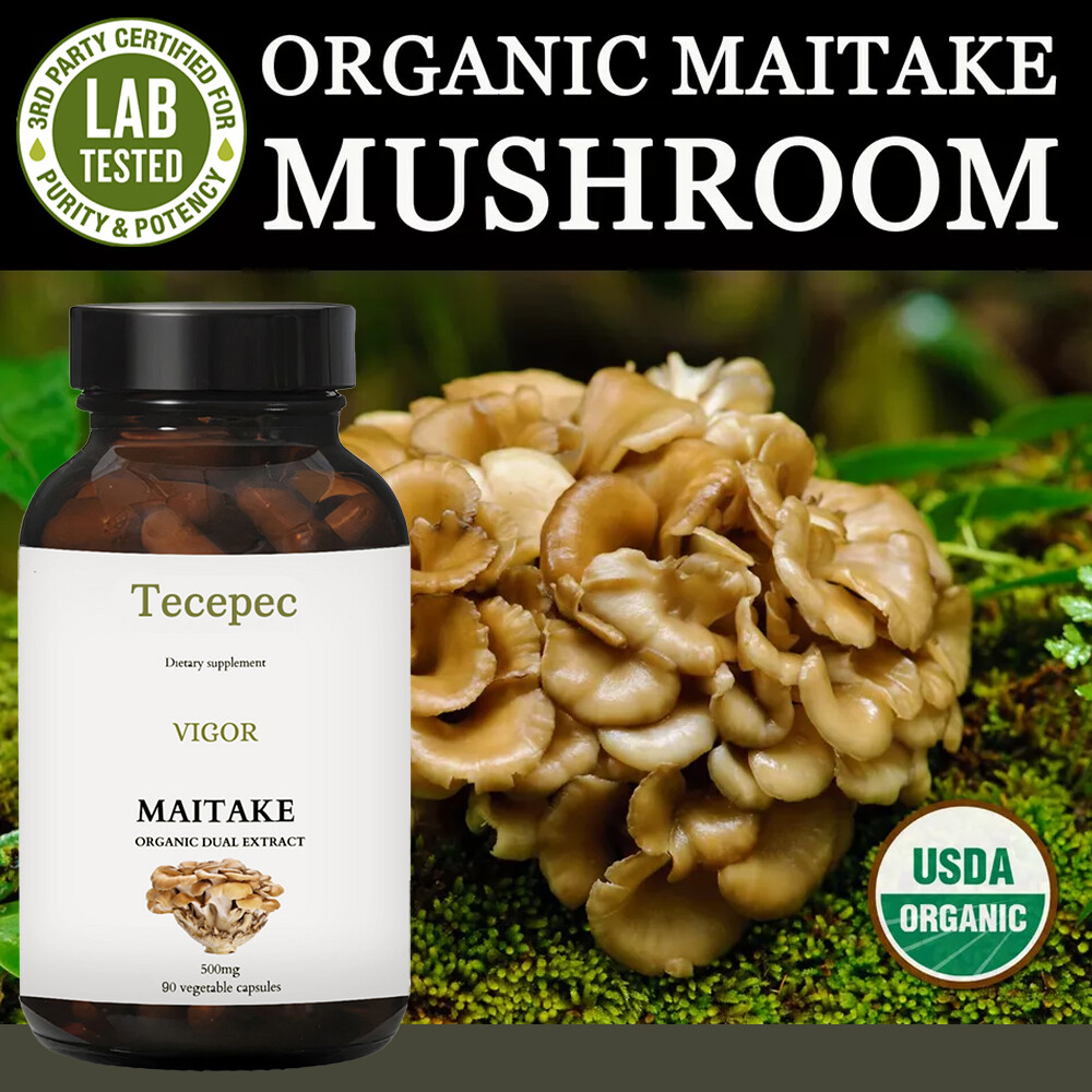 Maitake Mushroom 500mg | Organic Dual Extract | Energy & Immune Support