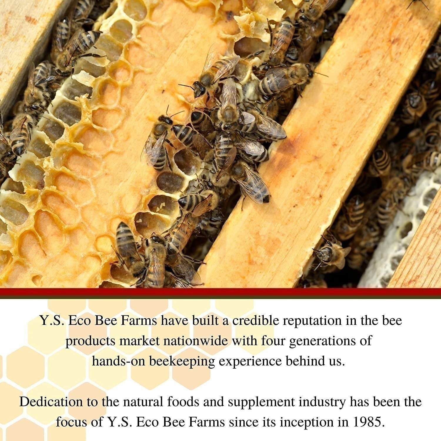 Y.S. Eco Bee Farms Royal Jelly Bee Pollen Propolis w/ Korean Ginseng – 90CT