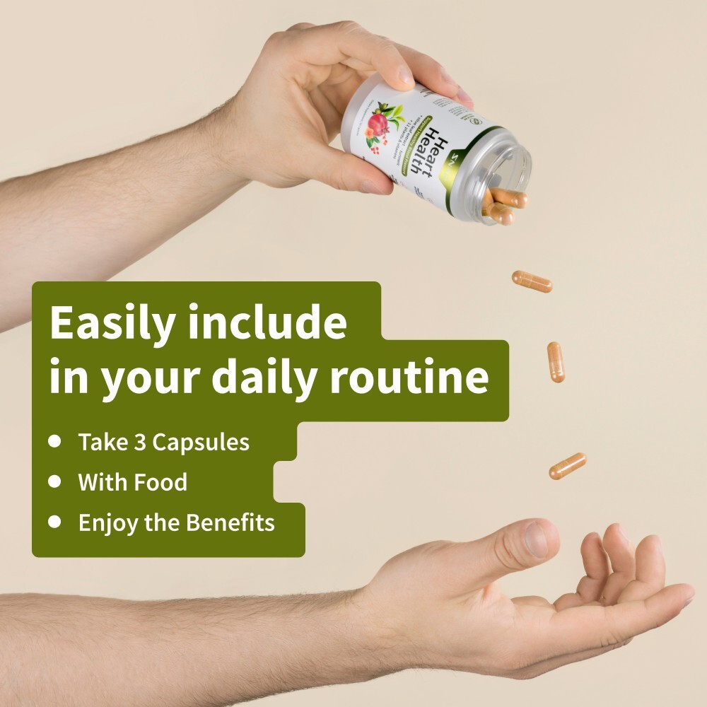 Heart Health Blood Pressure Support Supplement Olive Leaf Extract Capsule 2-Pack