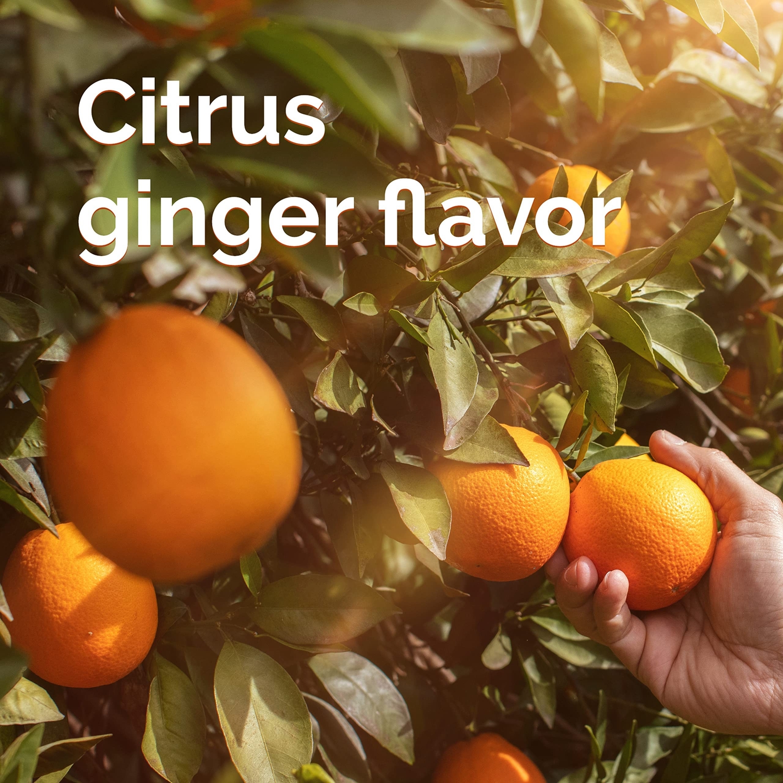Emergen-C Citrus-Ginger Fizzy Drink Mix, Turmeric and Ginger, Immune Support,…