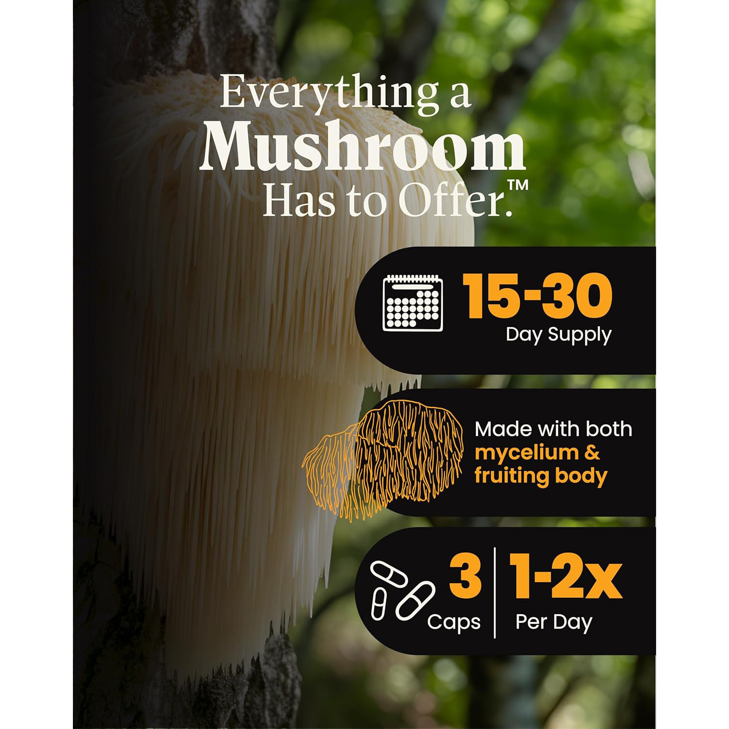 Herb Pharm,Mushroom Wellness Organic Lions Mane Blend w/Reishi,90Veg Caps