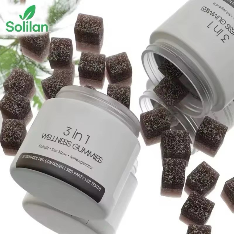 Solilan 3-in-1 Wellness Gummies Shilajit Sea Moss Ashwagandha 30 Count