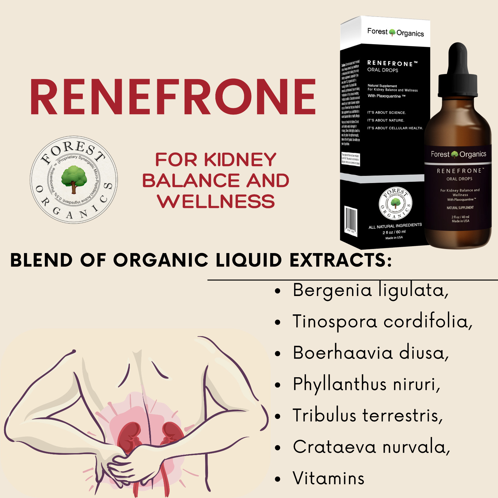 Kidney Health Support Supplement Kidney Detox Drops & Support Kidney Function