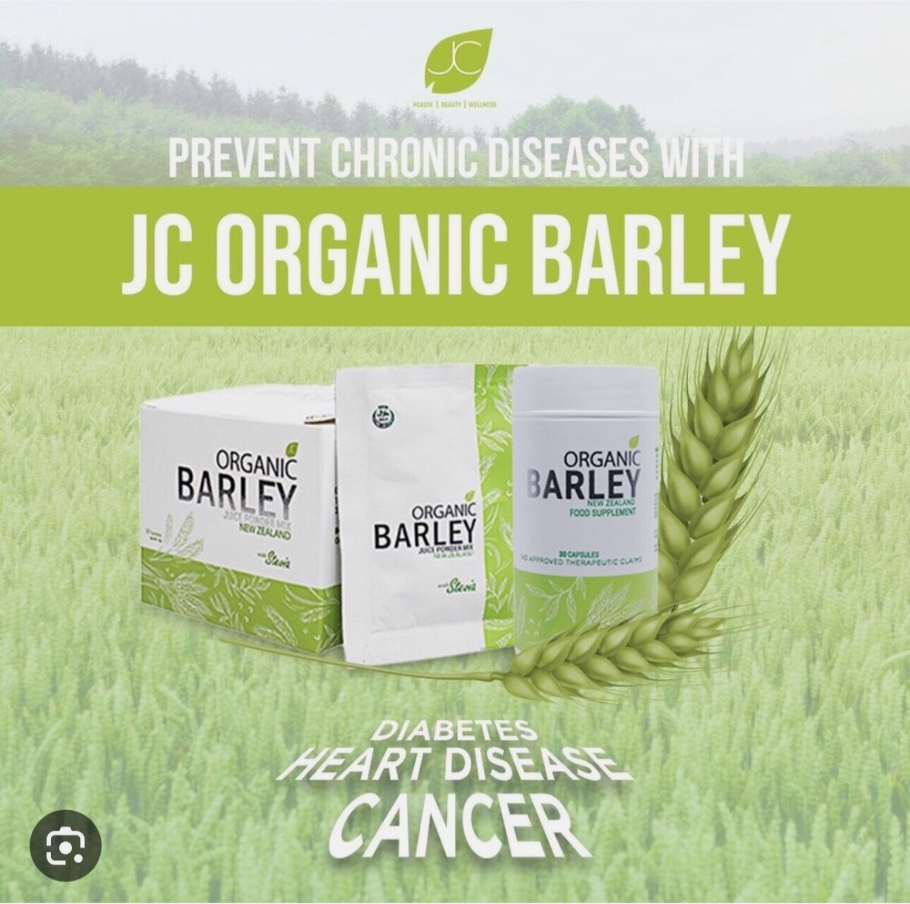 JC pure organic barley power juice with stevia from New Zealand