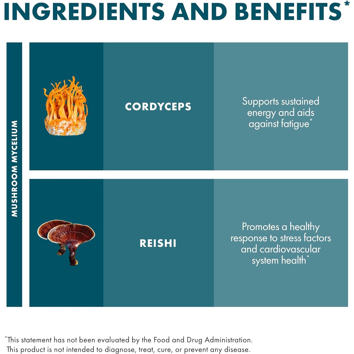 Host Defense CordyChi,Energy/Immune Support+Cordyceps&Reishi,120VeganCaps