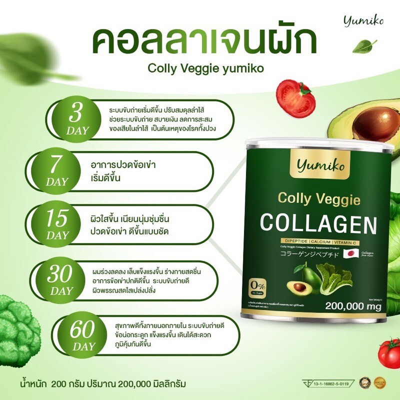 4x Yumiko Colly Veggie Collagen Dipeptide Powder High Fiber Anti-Aging Skin 200g