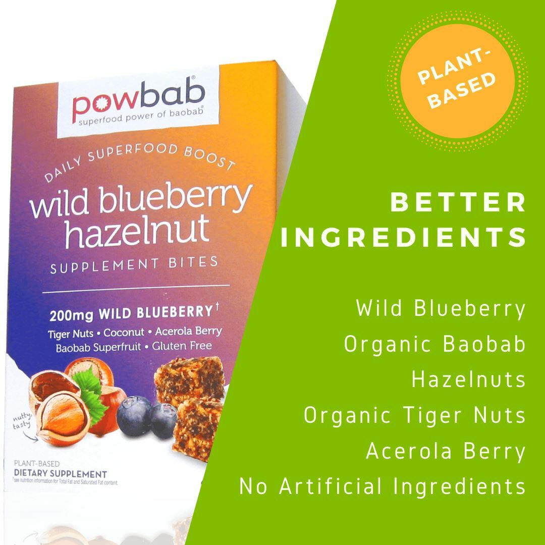powbab Wild Blueberry Hazelnut Bites – Low Sugar with Organic Ingredients
