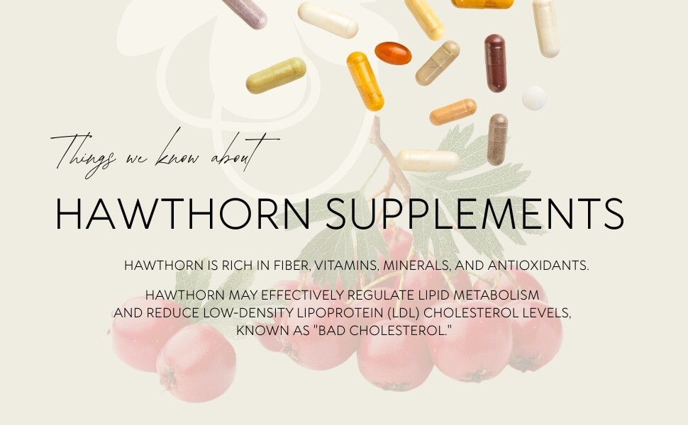 Natural Hawthorn Berry Extract – Herbal Vitality Supplement for Daily Balance 2B